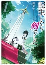 О моём перерождении в меч (WN)