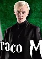 Судьбоносный враг Гарри Поттера (ЗАВЕРШЕН)