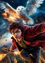 HP: Воспитанник Гринготтса [SI/OC ] (ЗАВЕРШЕН)