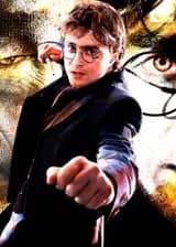 Гарри Поттер: Второй шанс