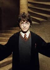 Гарри Поттер Новая жизнь