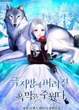 Я Подобрала Его, Брошенного в Полярном Регионе (KR)