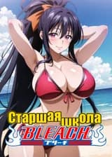 Старшая школа Блич (BLEACH x DxD)