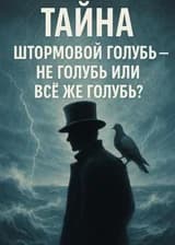 Тайна: Штормовой Голубь — не голубь или всё же голубь?