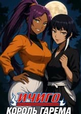 Блич: Почему я, Куросаки Ичиго, не король гарема?