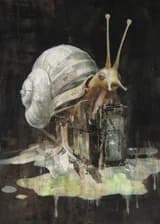 Феромоны бетонных джунглей