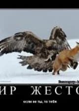 Мир жесток если не ты ,то тебя убьют