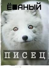 Перерождение В Писца