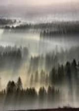 The Fog of the World