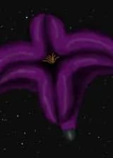 Бесконечная Жизнь.