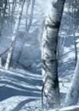 Темный Век. Не время для героев.