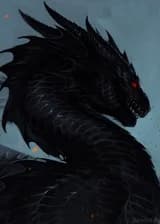 Призыватель Черного Дракона