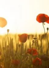 Конструктор