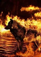 Живи и умирай всей день