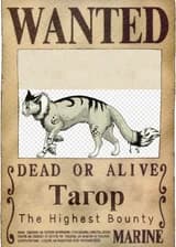 Дорога грёз (One Piece в Космосе)