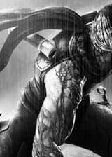 Я - Странник