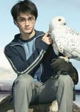 Гарри Поттер: Король магической Британии