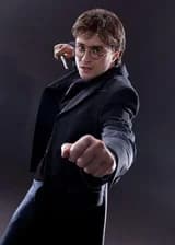 Гарри Поттер и Неожиданный Гость