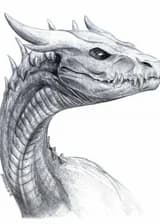 Восстание Белого Дракона