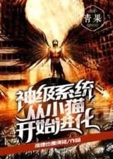 Божественная система: эволюция от котенка