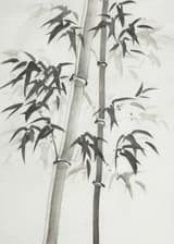 Путешествие длинною в бесконечность