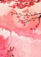 Здравствуйте, мистер король!