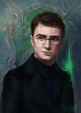 Гарри Поттер. Две стороны одной монеты