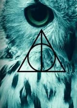 Гарри Поттер: Король мира кино