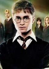 Гарри Поттер и Игра