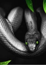 Harry Potter: Сияние сквозь тьму (ЗАВЕРШЕН)