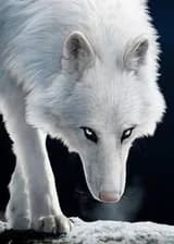 Любовь ликана