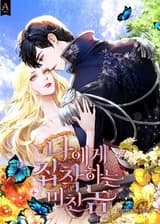 Сумасшедший без ума от меня