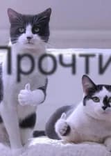 Путь вурдалака