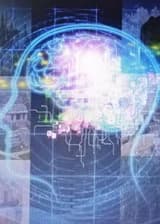 Коллективный разум меж миров