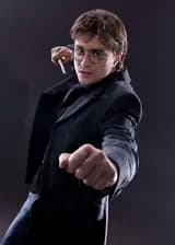 Гарри Поттер и двойной капкан