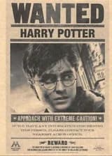 Гарри Поттер: В розыске