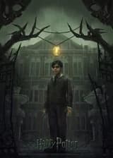 Гарри Поттер: Иной Путь