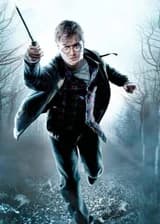 Умино Ирука и Воля Огня