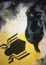Четвёртая жизнь или уже пятая?