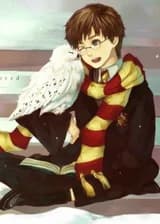 Гарри Поттер: Двое как один