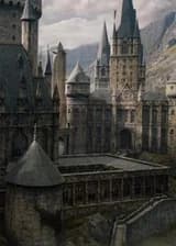 В Хогвартсе без спасителя