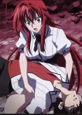 DxD: Похотливый геймер