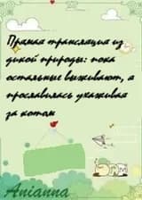 Прямая трансляция из дикой природы: пока остальные выживают, я прославилась ухаживая за котом