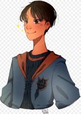 Гарри Поттер и Клуб Сфинкса