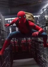 Дуэт пауков