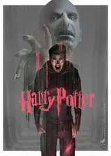 Хроники Дракона: Воспитанный магглами чемпион