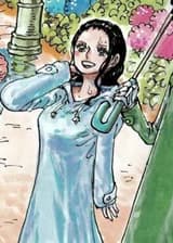 One Piece: Я открываю Сусано с помощью барьерного фрукта