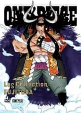 Пираты: Мастер Кайдо, онлайн-обучение