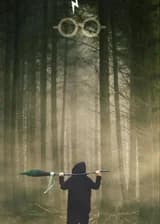 Гарри Поттер: Свет во тьме