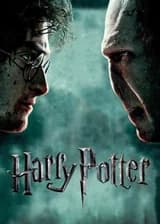 Гарри Поттер: Чемпион среди лучших